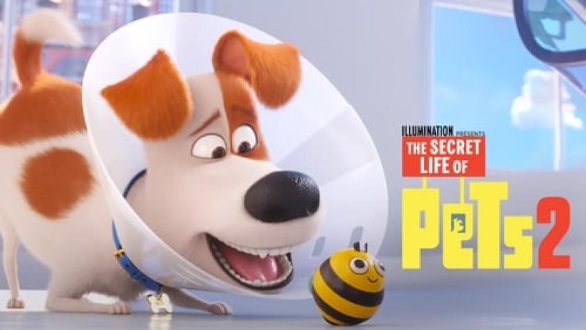 مشاهدة فيلم The Secret Life of Pets 2 2019 مترجم ماي سيما