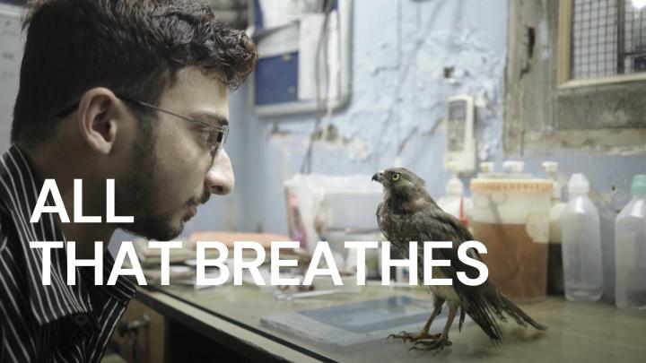 مشاهدة فيلم All That Breathes 2022 مترجم ماي سيما